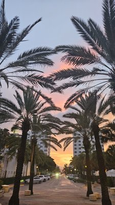 Hyde Beach by null