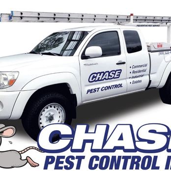 Chase Pest Control - Pest Control Near Me - Upland, California Chase Pest Control - Pest Control Near Me - Upland, California