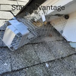 Advantage Termite & Pest Control Inc