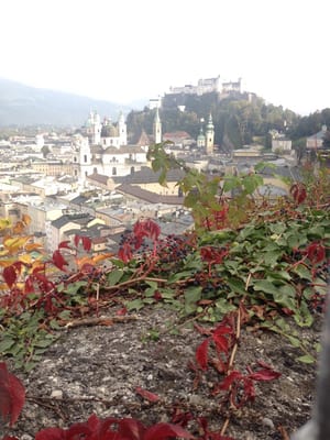 Museum der Moderne by null