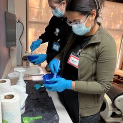 Austin Dental Assistant School - Cedar Park