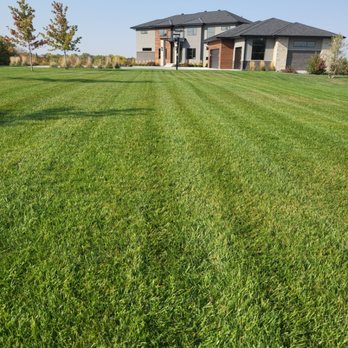 Tercero Mowing Services - Lawn Services Near Me
