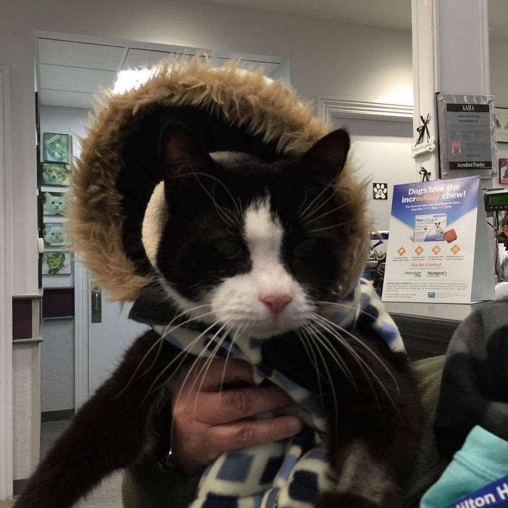 ANIMAL HEALTH CARE OF MARLBORO 13 Photos & 21 Reviews Veterinarians