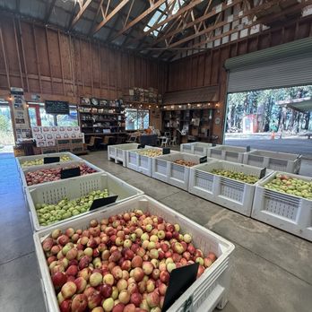 O'Halloran's Apple Trail Ranch - Inside the barn, these are all of the apples they have available for $2/lb - Farmers Market Near Me - Camino, California