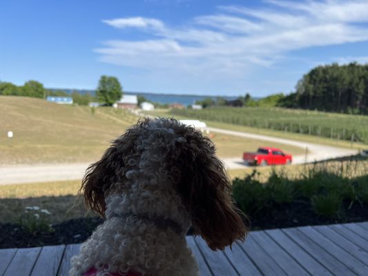 Two K Farms Cidery & Winery by null