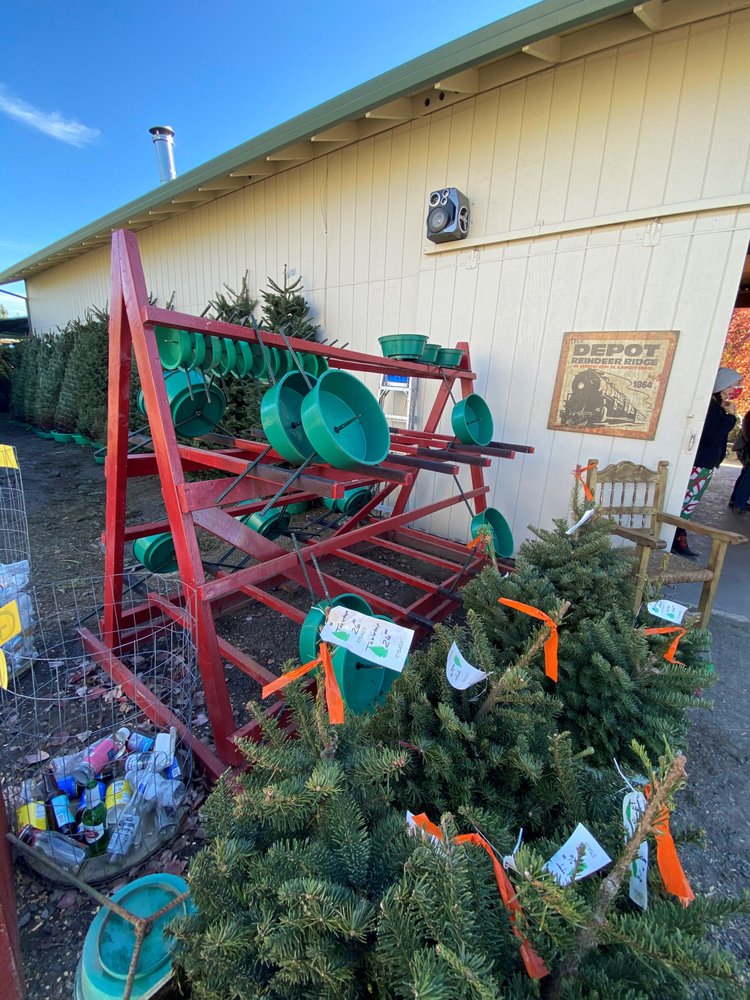 REINDEER RIDGE CHRISTMAS TREE FARM Updated August 2024 19 Photos