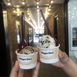 Triple layer chocolate and chocolate mint ice cream Triple layer chocolate and chocolate mint ice cream