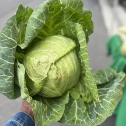 Bixby Knolls Farmers Market - I travel the City for THIS!