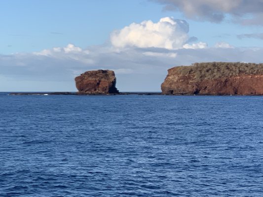 Lanai by null