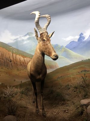 EcoTarium by null