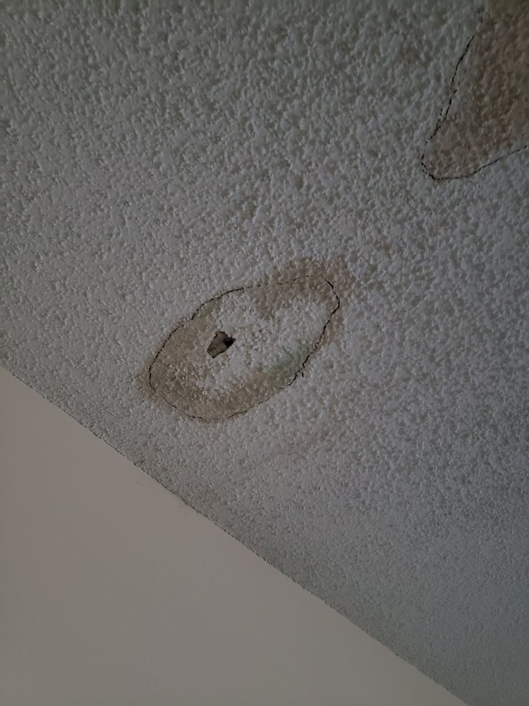 BRIDGES AT QUAIL HOLLOW APARTMENTS Updated August 2024 15 Photos