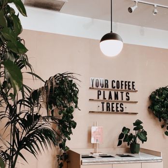 Coffee and Plants - inside - Coffee & Tea Near Me - Pasadena, California