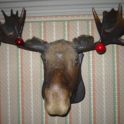 Irving House - What's more Canadian than a Moose?