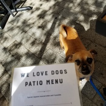 Tupelo Honey Southern Kitchen & Bar - Gavin and the dog menu. - Southern Near Me - Denver, Colorado Tupelo Honey Southern Kitchen & Bar - Gavin and the dog menu. - Southern Near Me - Denver, Colorado