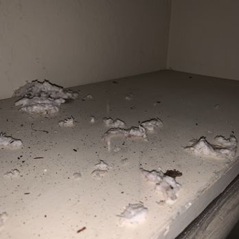 Invitation Homes - Inside closet. Debris from attic. - Property Management Near Me - Roseville, California