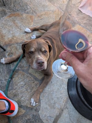 Postino Del Mar by null