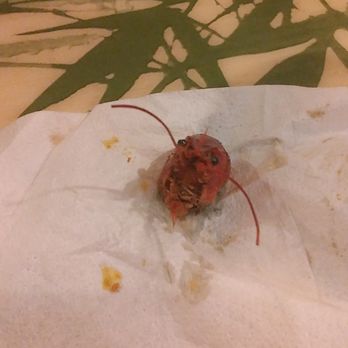 New Buffet City - "Why did you eat me?" - Buffets Near Me - Chesapeake, Virginia