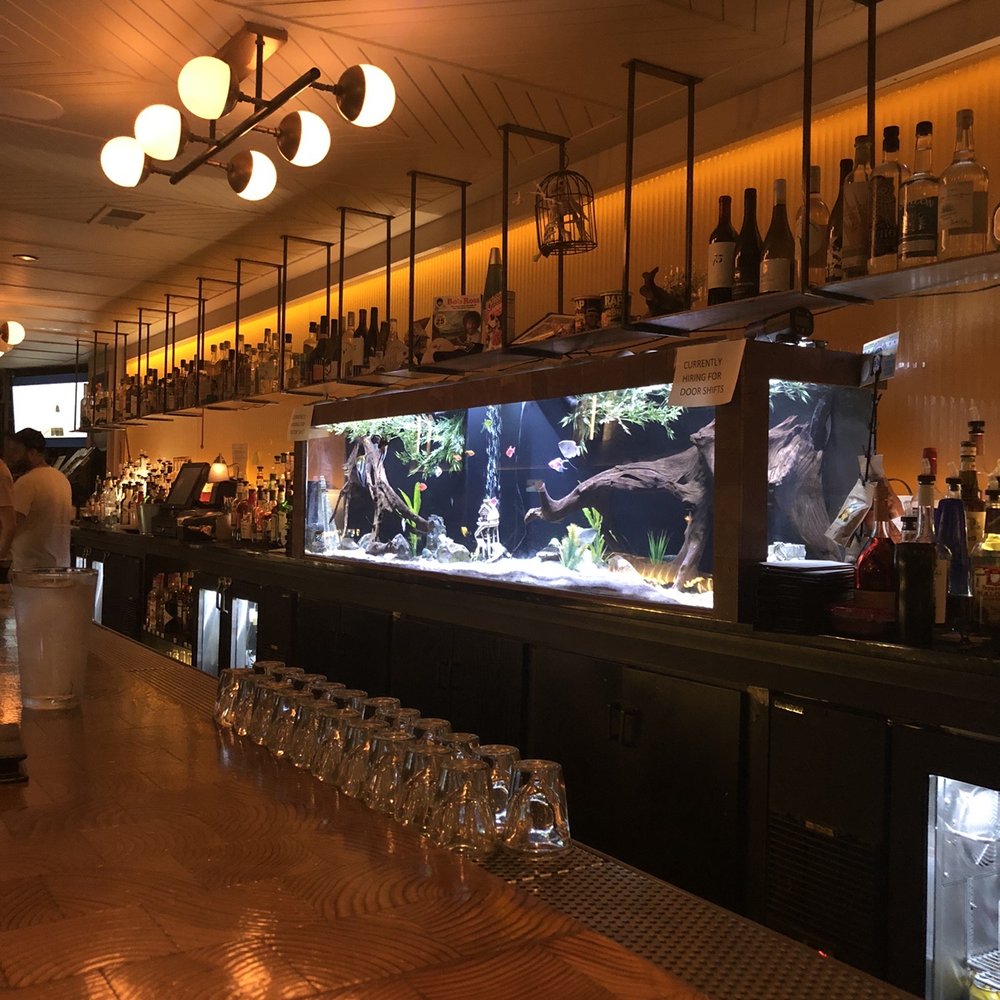 Remedy - Fish tank behind the bar - Cocktail Bars Near Me - Chicago, Illinois Remedy - Fish tank behind the bar - Cocktail Bars Near Me - Chicago, Illinois