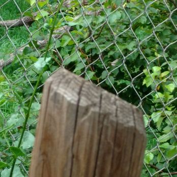 Denver Zoo - Zoos Near Me - Denver, Colorado Denver Zoo - Zoos Near Me - Denver, Colorado