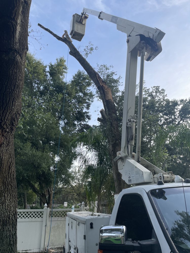 TOP NOTCH TREE SERVICE AND PROPERTY MANAGEMENT - Updated November 2024 ...