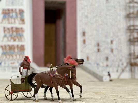 Milwaukee Public Museum by null