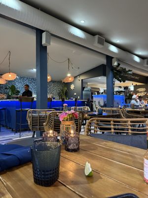 Octopus Baja by null