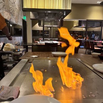 Shogun Restaurant - Sushi Bars Near Me - Palm Desert, California Shogun Restaurant - Sushi Bars Near Me - Palm Desert, California
