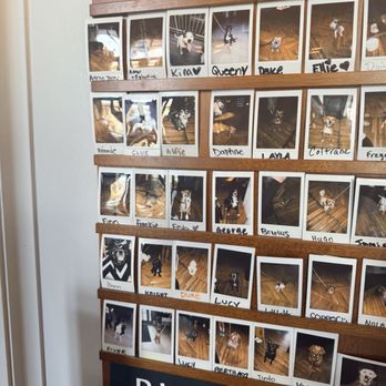 No Goodbyes - Dog visitors wall of fame - New American Near Me - Washington, DC, District of Columbia