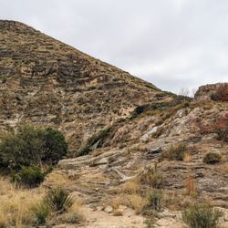 Sitting Bull Falls - Instagram: @telephonesmoothie