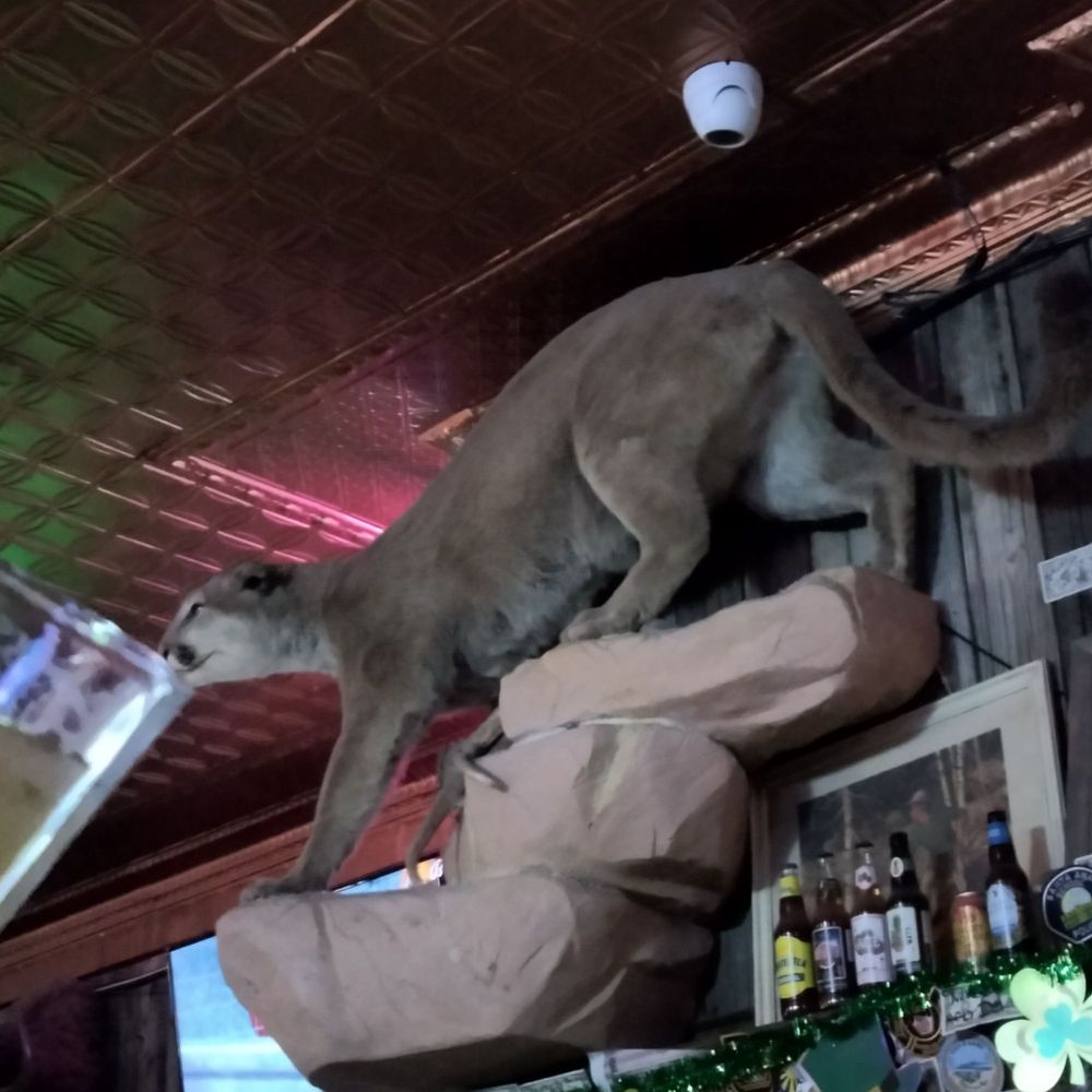 Sultana Bar - Sharing my beer! - Dive Bars Near Me - Williams, Arizona Sultana Bar - Sharing my beer! - Dive Bars Near Me - Williams, Arizona