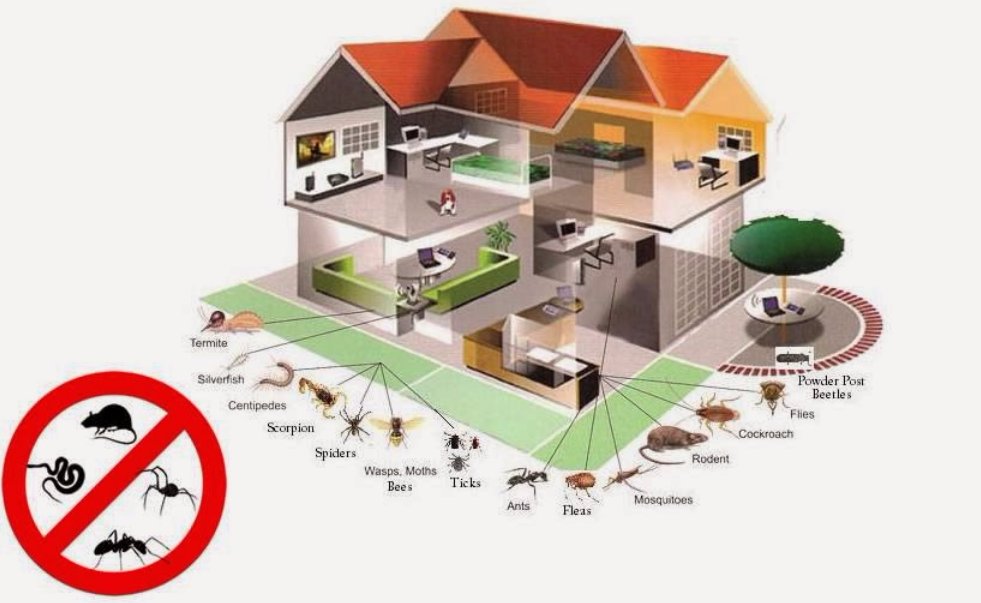 A&C PEST MANAGEMENT Updated April 2024 500 Ironwood Rd, Reno