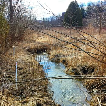 Bruce's Mill Conservation - Another stream. - Public Services & Government Near Me - Stouffville, Ontario Bruce's Mill Conservation - Another stream. - Public Services & Government Near Me - Stouffville, Ontario