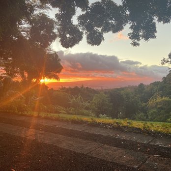 Experience Nutridge - Performing Arts Near Me - Honolulu, Hawaii Experience Nutridge - Performing Arts Near Me - Honolulu, Hawaii