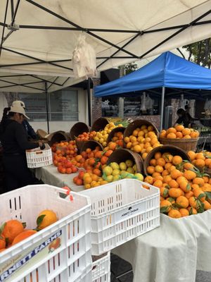 Culver City Farmers Market by null