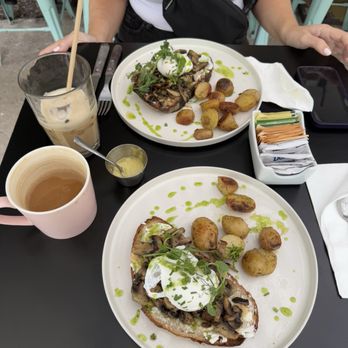 Rossina Café - Mushroom toast - Breakfast & Brunch Near Me - Quintana Roo, ROO Rossina Café - Mushroom toast - Breakfast & Brunch Near Me - Quintana Roo, ROO