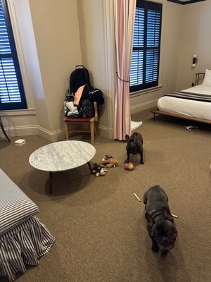 Palihotel San Francisco by null