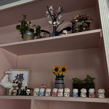 Pink Cloud Tea & More - Pink shelves display potted plants, figurines, and artificial flowers, including Maneki-neko and sunflower decorations, against a pink wall. - Bubble Tea Near Me - Berkeley, California