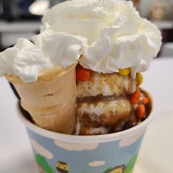 Hobby Horse Ice Cream Parlor - Peant Butter Bliss