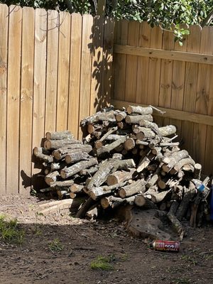 Tree Services - Tree Services in and around Austin, TX. Tree pruning, tree trimming, stump removal. Tree Services - Tree Services in and around Austin, TX. Tree pruning, tree trimming, stump removal.
