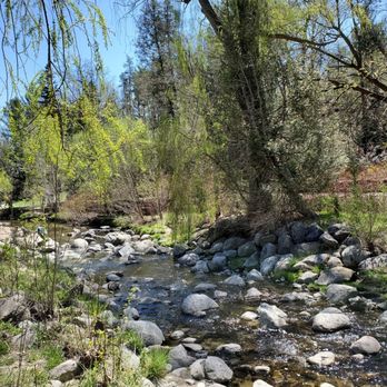 Edwards Gardens - Parks Near Me - North York, Ontario