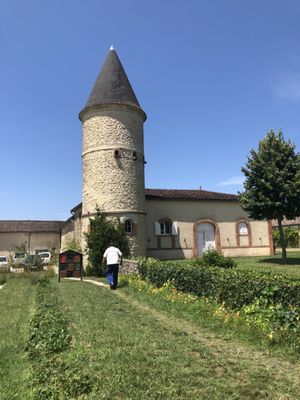 Château Guiraud by null