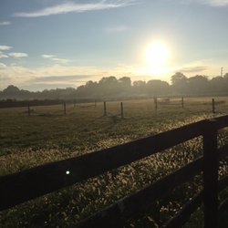 Hidden Lake Farm Riding School - The front field at HLF