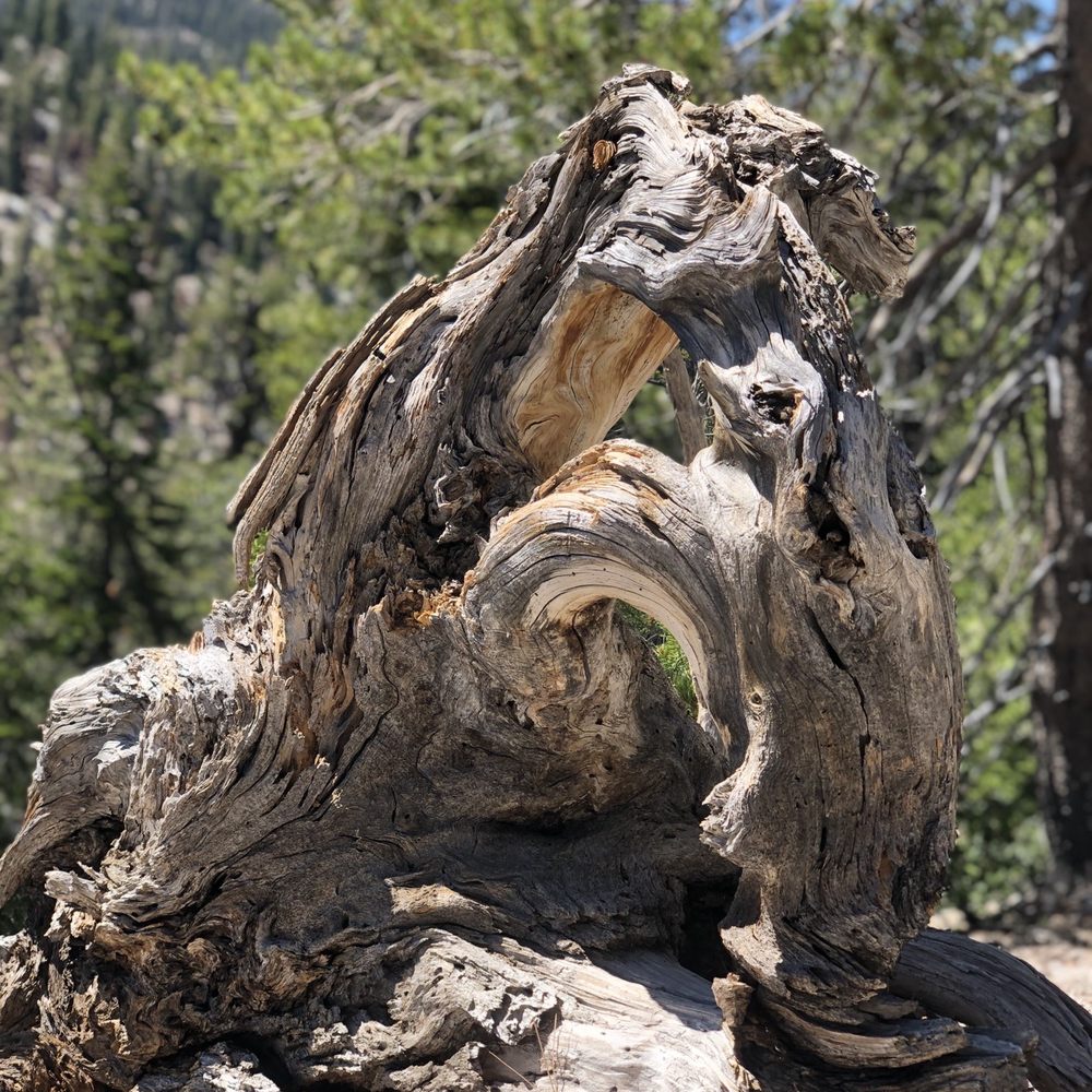 Devil's Postpile National Monument - Roots - Landmarks & Historical Buildings Near Me - Mammoth Lakes, California Devil's Postpile National Monument - Roots - Landmarks & Historical Buildings Near Me - Mammoth Lakes, California