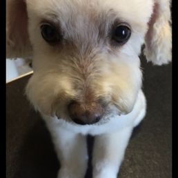 Sweet Aria, 18 years old Sweet Aria, 18 years old