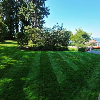 Sunglow Maple Landscaping Services - Landscaping Near Me Sunglow Maple Landscaping Services - Landscaping Near Me