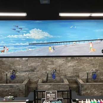 Pet Supermarket - Pet Stores Near Me - Pensacola, Florida Pet Supermarket - Pet Stores Near Me - Pensacola, Florida