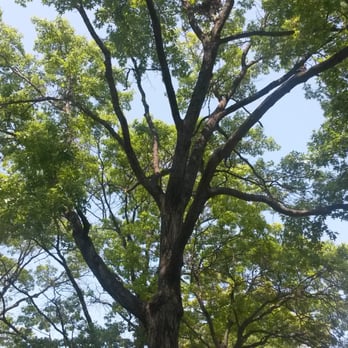 Juniper Valley Park - Parks Near Me - Middle Village, New York
