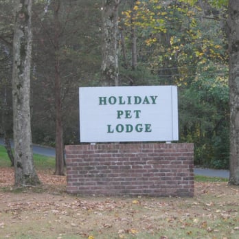 Holiday Pet Lodge - Pet Sitting Near Me - Wallingford, Connecticut