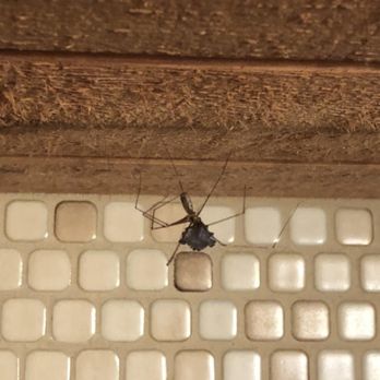 Vrbo - Bug everywhere. - Vacation Rentals Near Me - Wareham, Massachusetts Vrbo - Bug everywhere. - Vacation Rentals Near Me - Wareham, Massachusetts