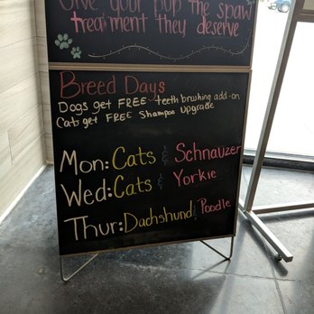 PetSmart Dog Training - Pet Training Near Me - New Caney, Texas PetSmart Dog Training - Pet Training Near Me - New Caney, Texas